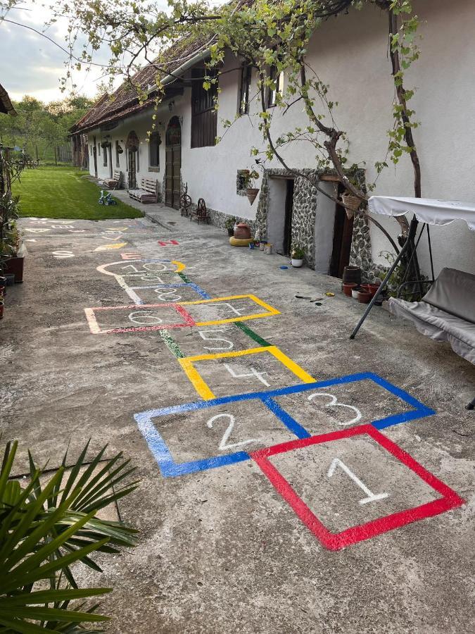 Casa Pe Valea Hartibaciului Pensionat Barcut Eksteriør billede