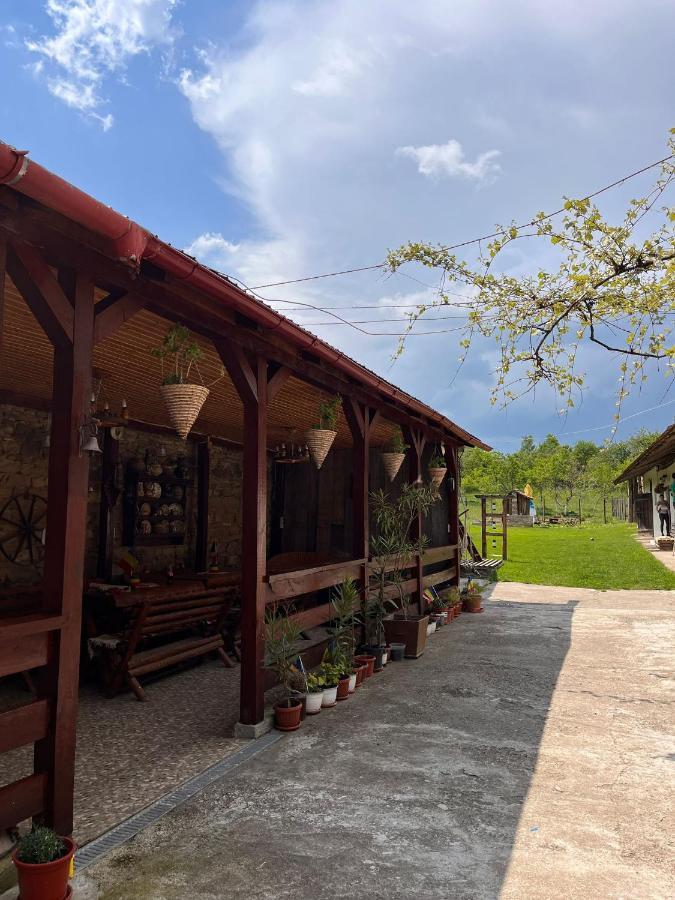 Casa Pe Valea Hartibaciului Pensionat Barcut Eksteriør billede