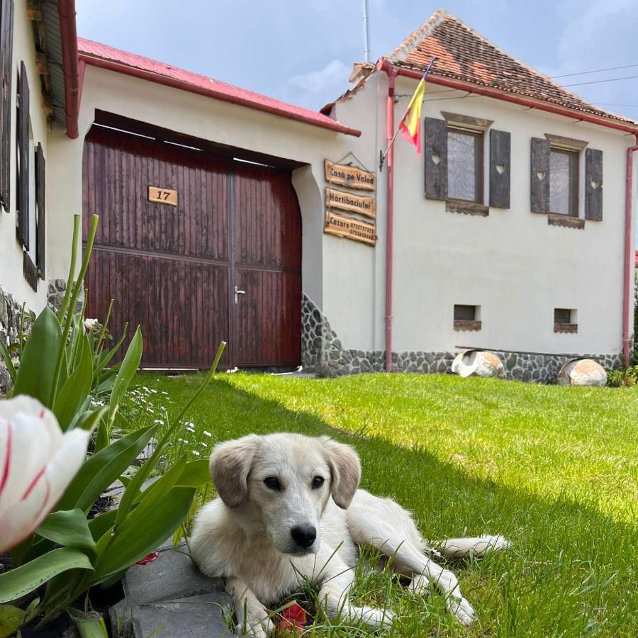 Casa Pe Valea Hartibaciului Pensionat Barcut Eksteriør billede